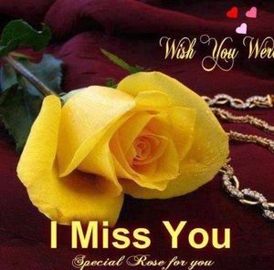 Meet your Posher, Jose